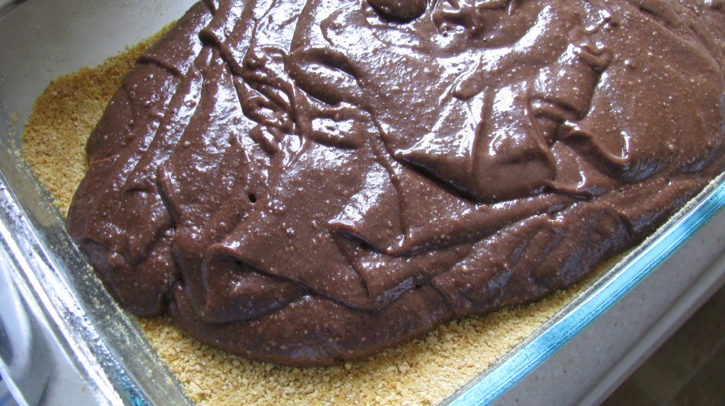 S'mores Brownies I howsweeteats.com