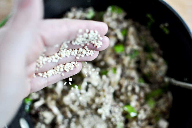 Toasted Sesame Quinoa with Chicken I howsweeteats.com Toasted Sesame Quinoa with Chicken I howsweeteats.com