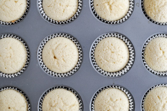 Sugared Toasted Almond Cupcakes with Chocolate Frosting I howsweeteats.com