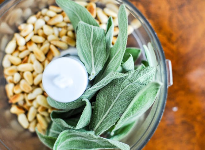 Butternut Squash, Sage Pesto and Prosciutto Pizza I howsweeteats.com