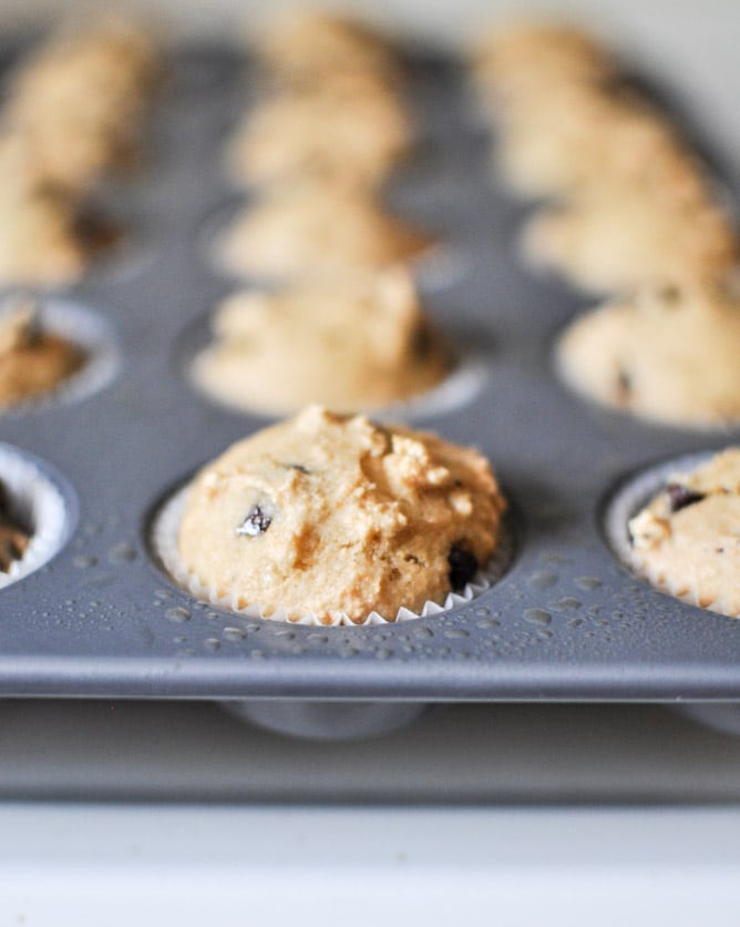 Mini Whole Wheat Chocolate Chip Muffins I howsweeteats.com
