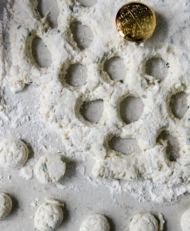 Mini Cream Cheese + Chive Biscuits I howsweeteats.com