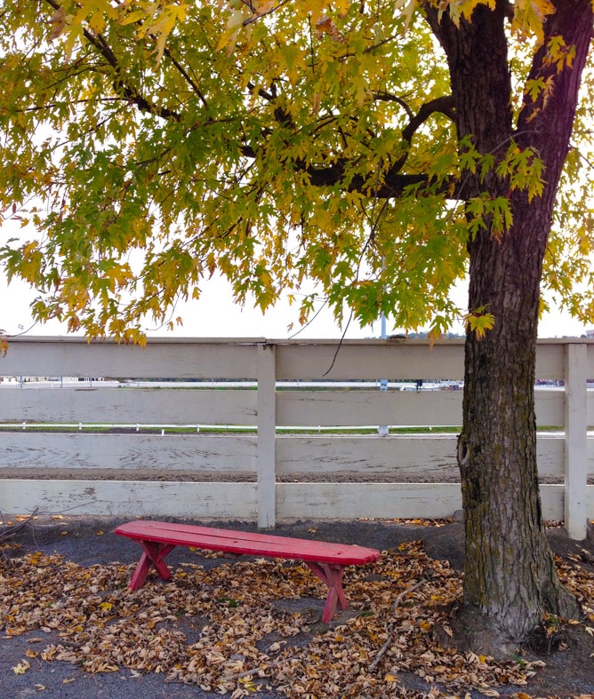 photo an hour I howsweeteats.com-13