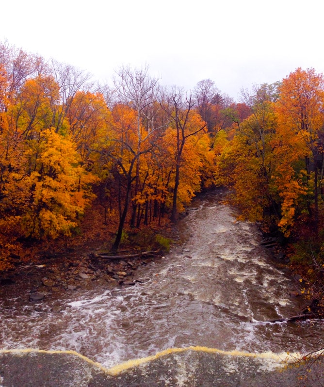 weekend things I howsweeteats.com