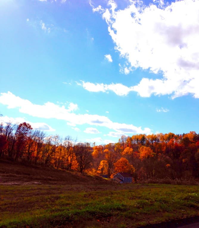 weekend things I howsweeteats.com