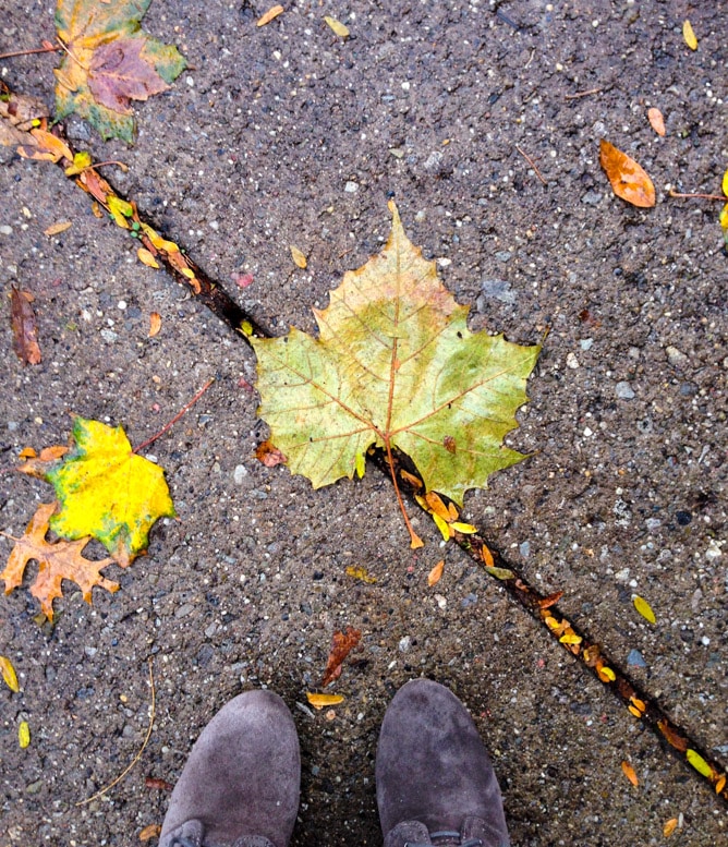 weekend things I howsweeteats.com