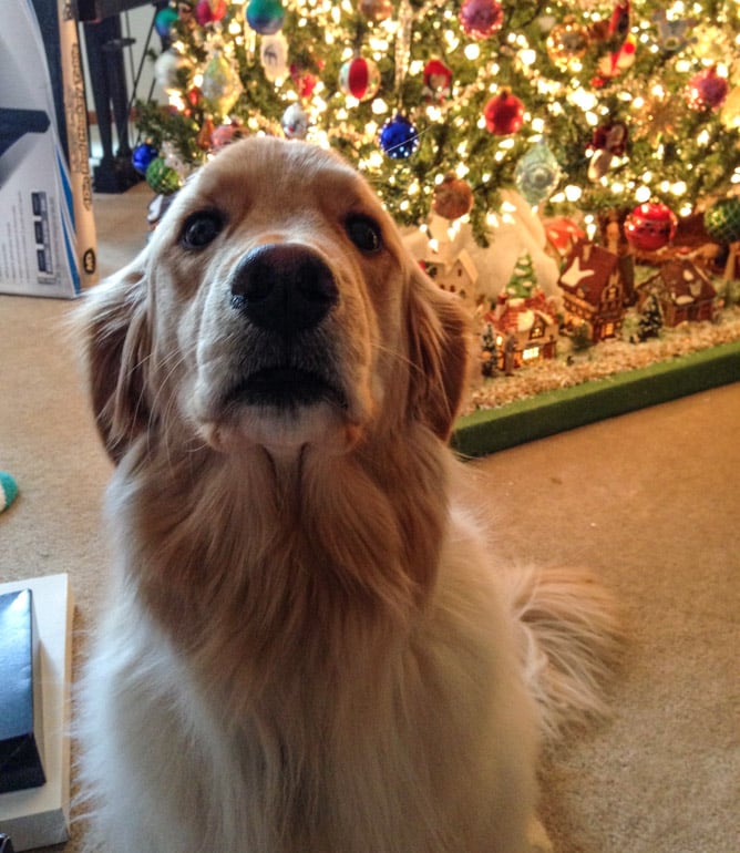 holiday things I howsweeteats.com-13