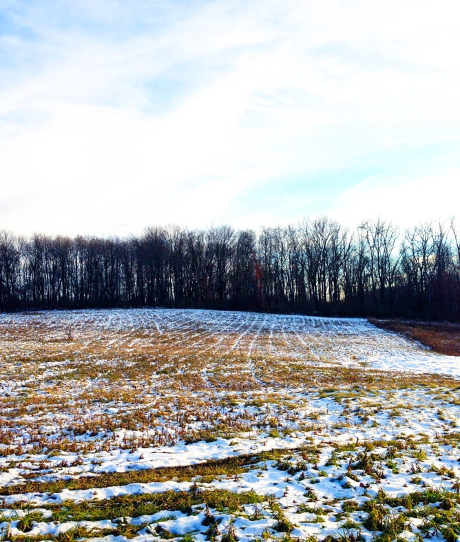 iphone life lately I howsweeteats.com