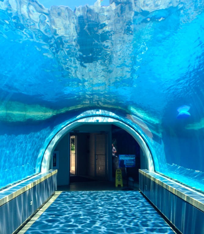 long weekend things I howsweeteats.com