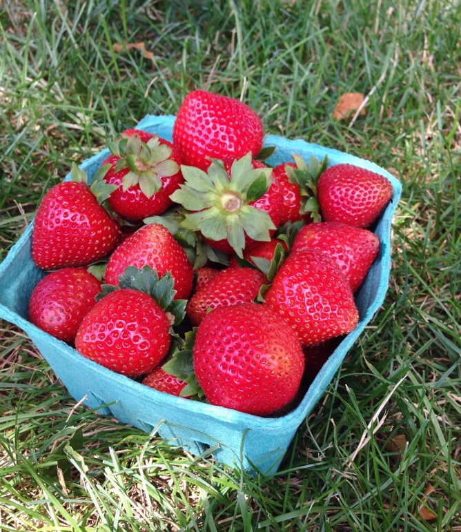 long weekend things I howsweeteats.com