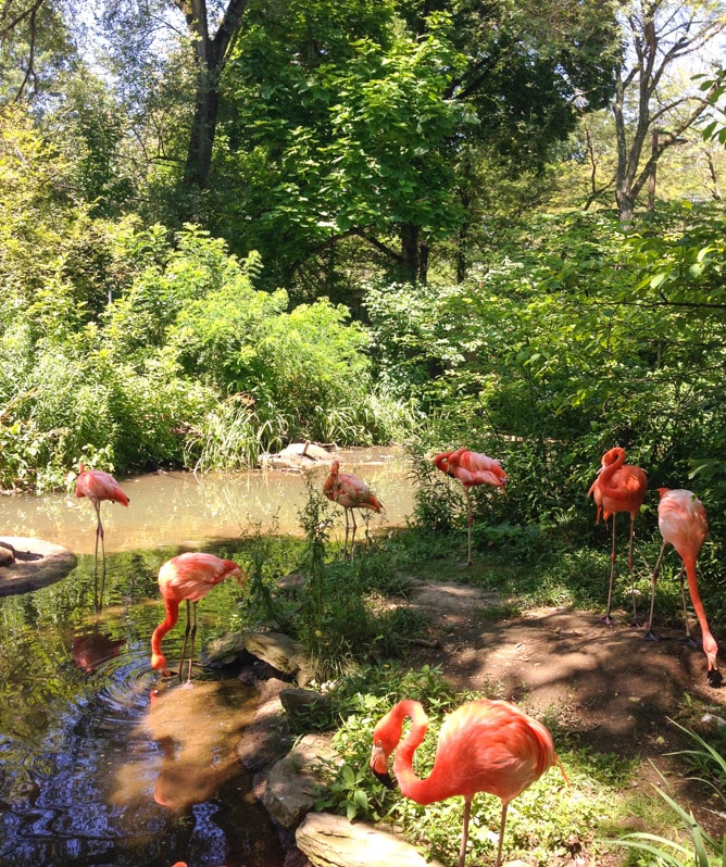 long weekend things I howsweeteats.com