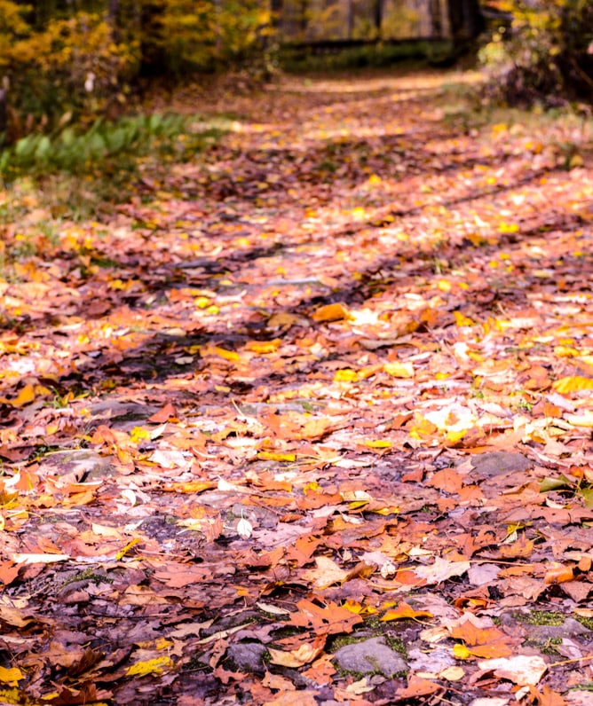 a little autumn drive I howsweeteats.com