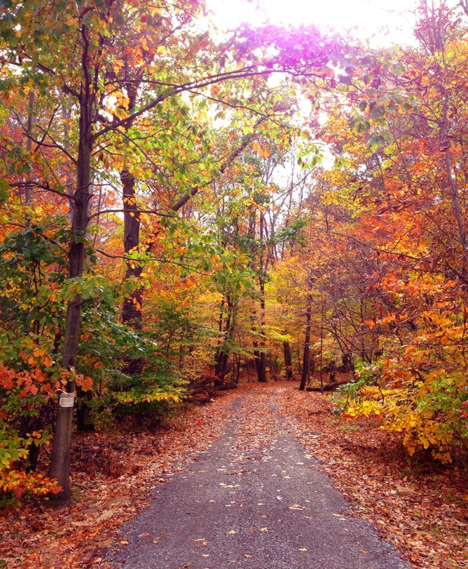 a little autumn drive I howsweeteats.com