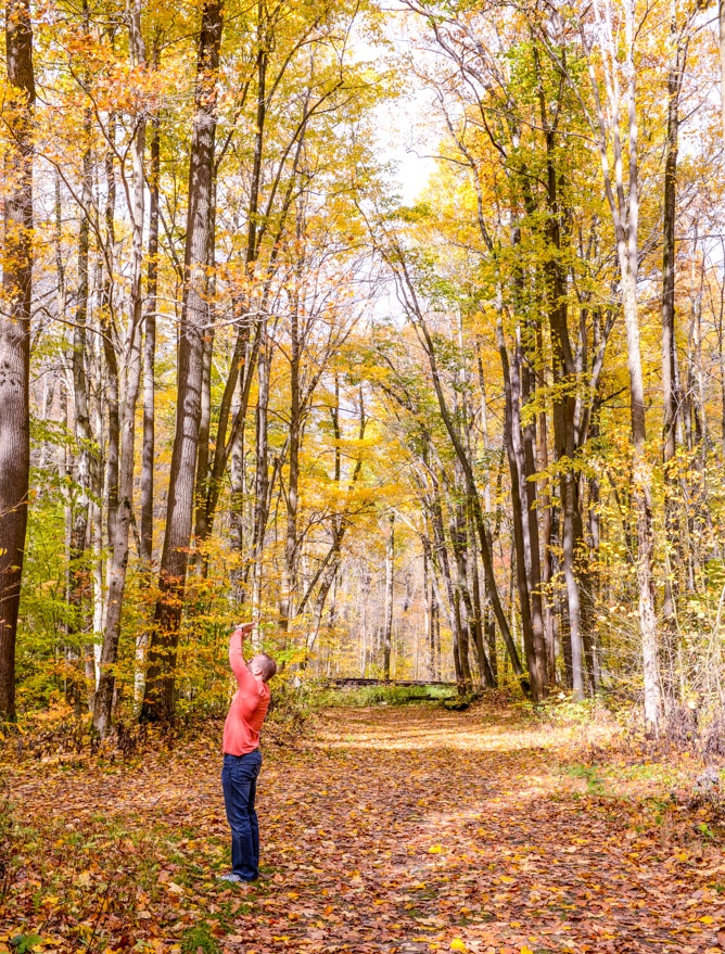 a little autumn drive I howsweeteats.com