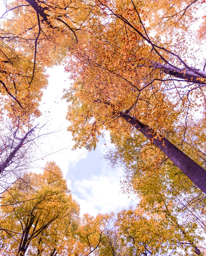 a little autumn drive I howsweeteats.com