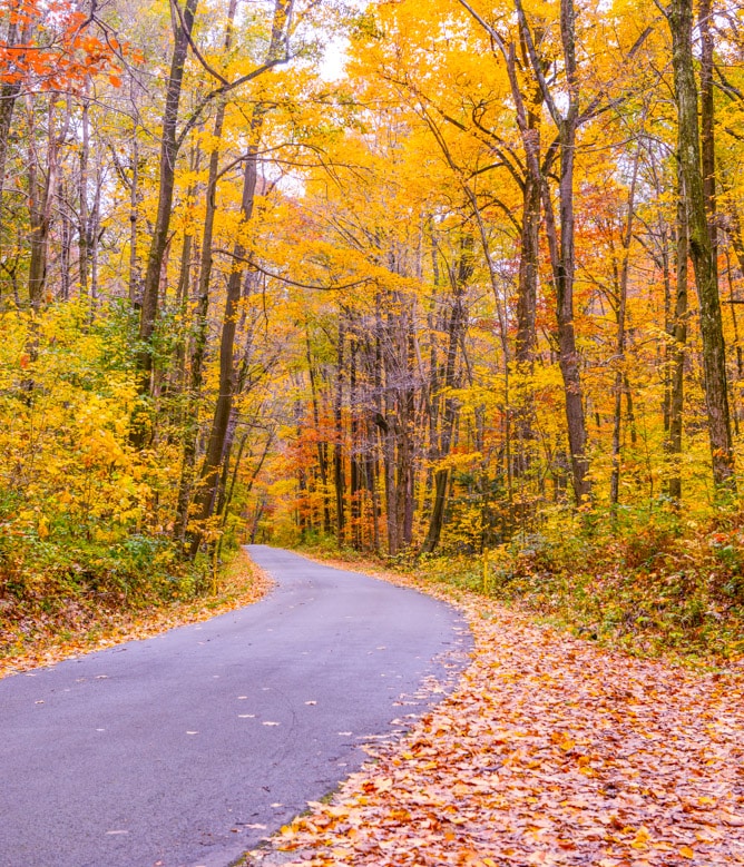 a little autumn drive I howsweeteats.com