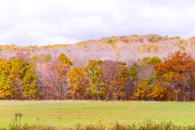 a little autumn drive I howsweeteats.com