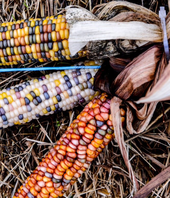 a little autumn drive I howsweeteats.com