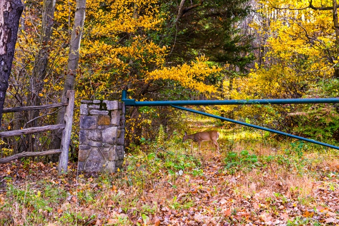 a little autumn drive I howsweeteats.com