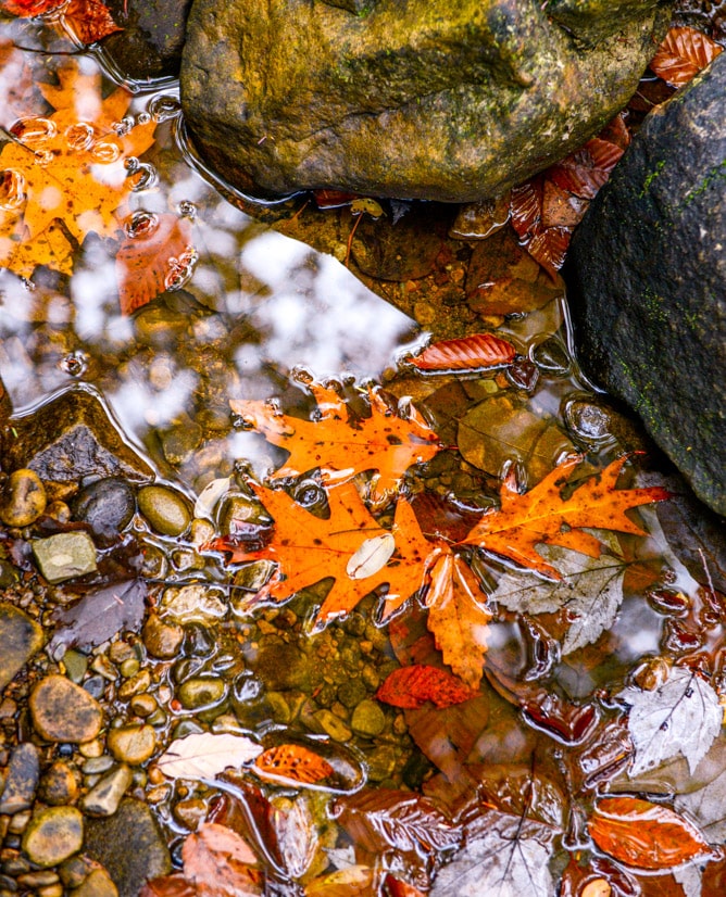 a little autumn drive I howsweeteats.com