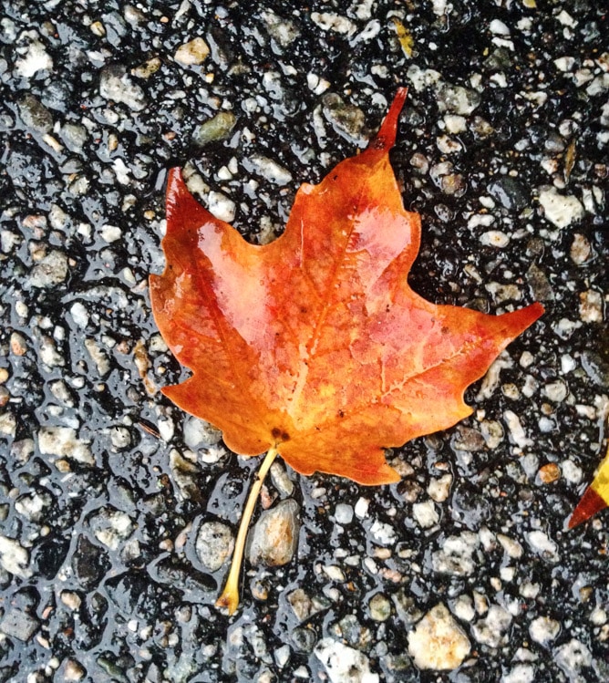 a rainy new hampshire autumn day I howsweeteats.com