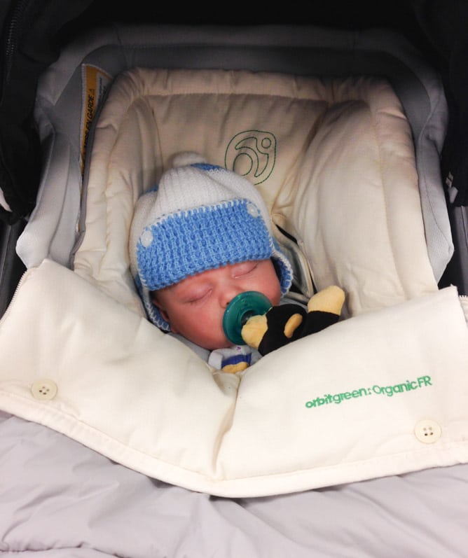 life with max: weeks 12 through 16 I howsweeteats.com