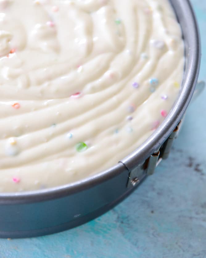 coney island cheesecake I howsweeteats.com