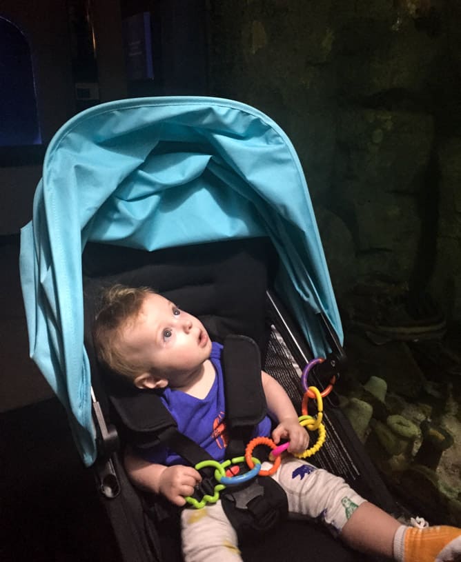 on doing I howsweeteats.com