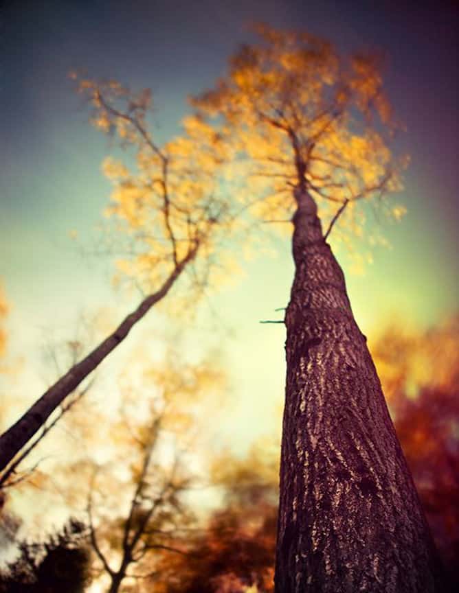 currently crushing on I howsweeteats.com