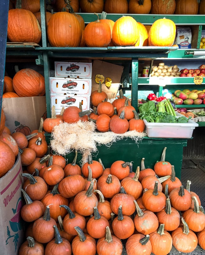 autumn in NYC I howsweeteats.com