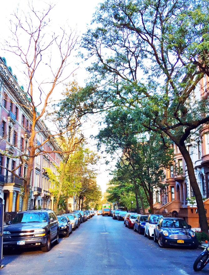 autumn in NYC I howsweeteats.com