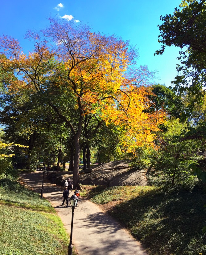 autumn in NYC I howsweeteats.com