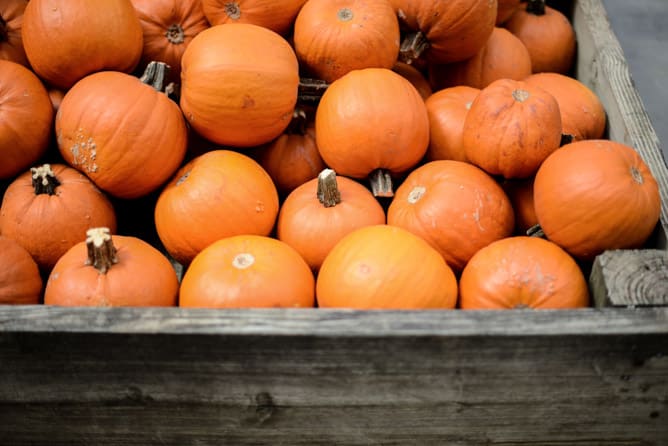 weekend things I howsweeteats.com