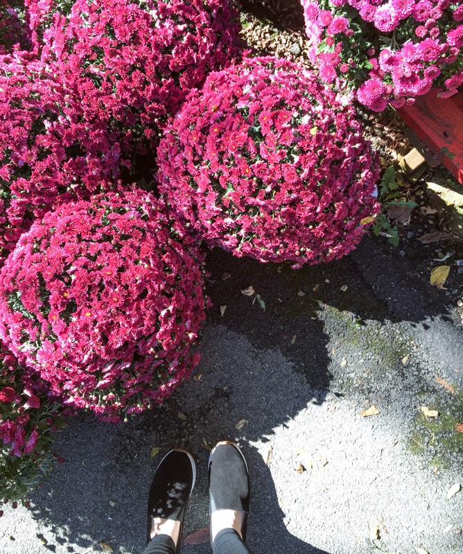 weekend things I howsweeteats.com