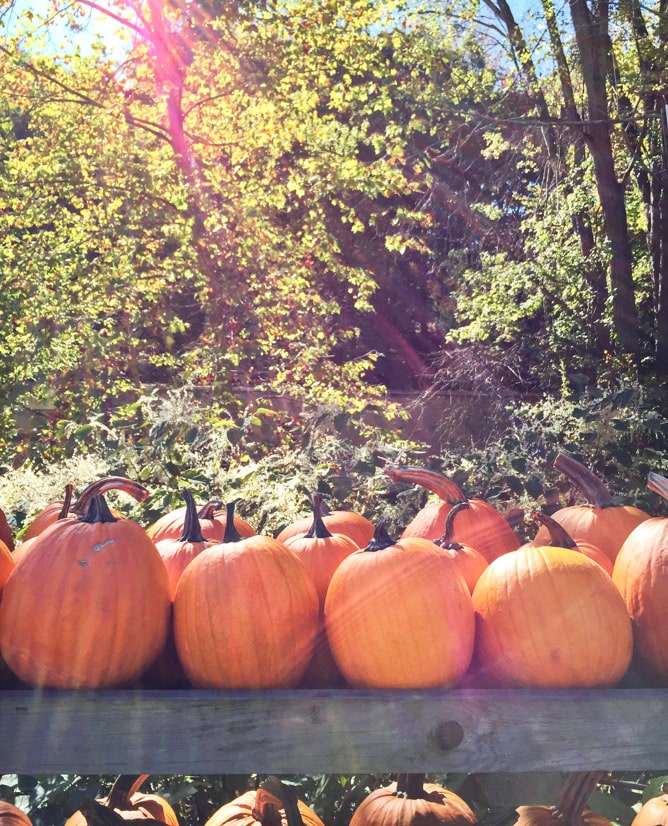 weekend things I howsweeteats.com