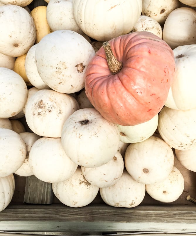 weekend things I howsweeteats.com