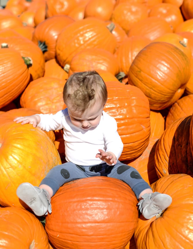 weekend things I howsweeteats.com