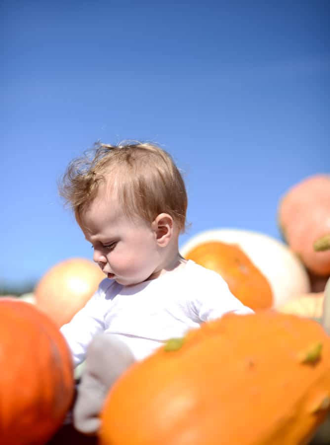 weekend things I howsweeteats.com