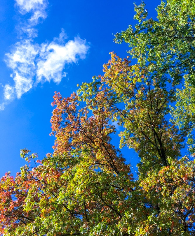 weekend things I howsweeteats.com