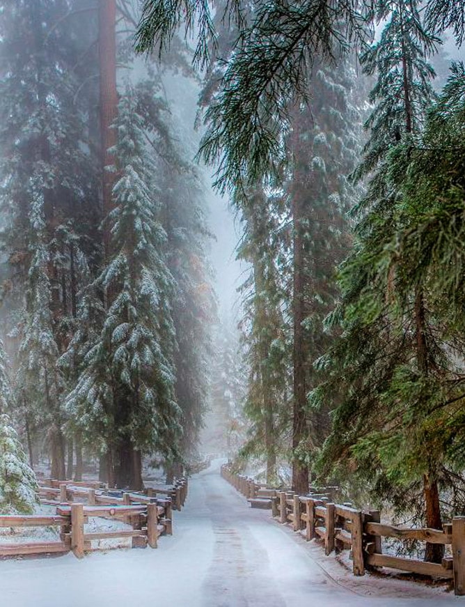 currently crushing on I howsweeteats.com