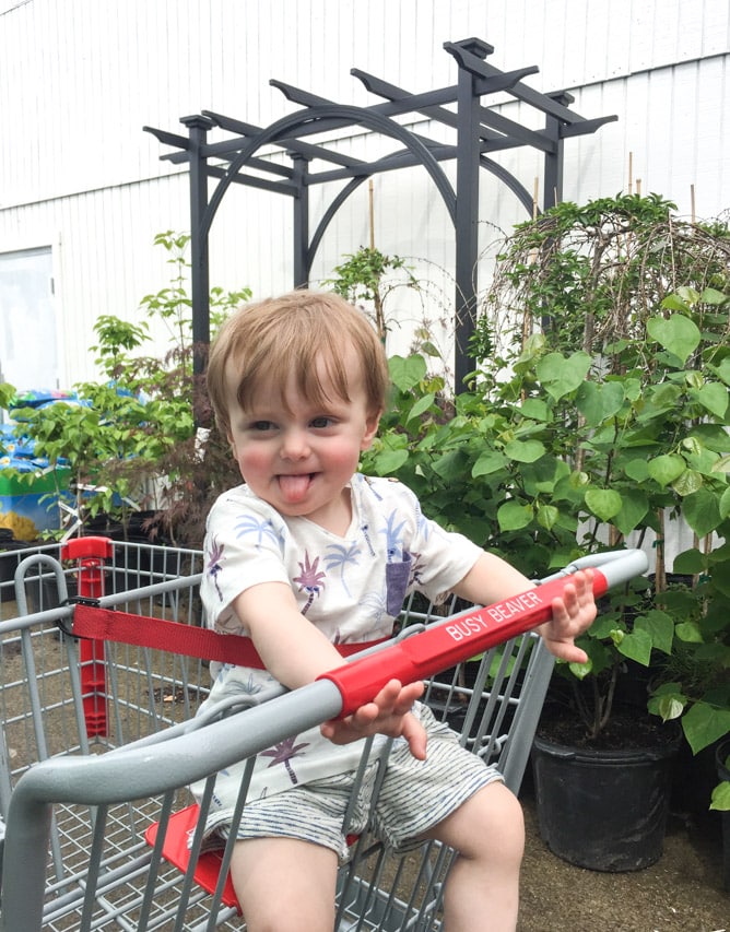 max moments I howsweeteats.com