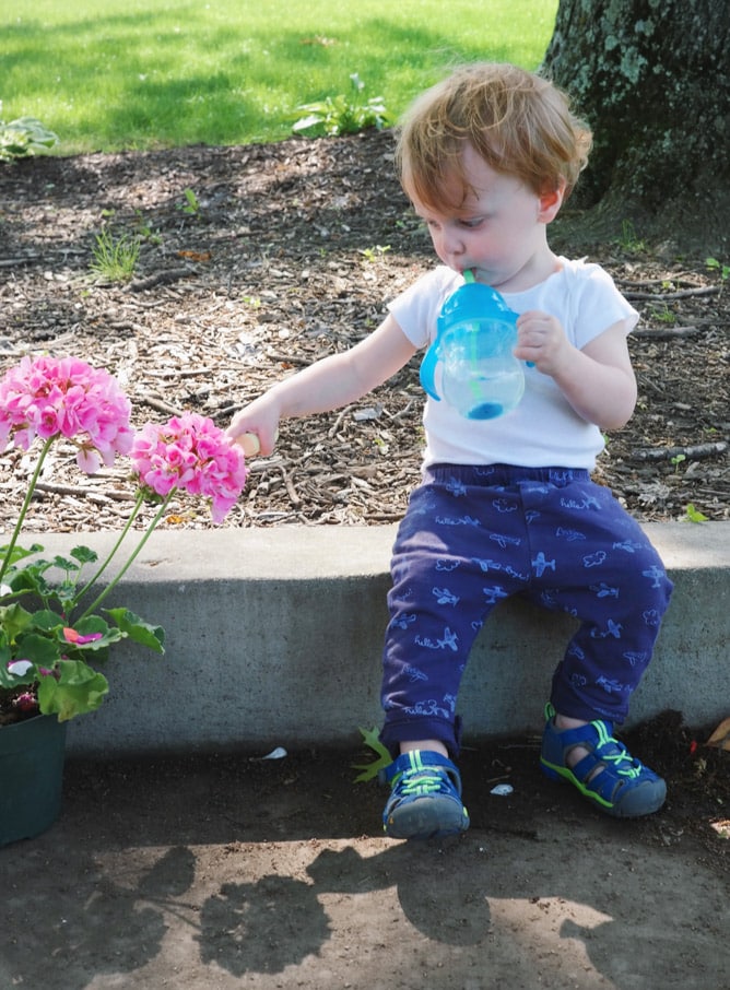 max moments I howsweeteats.com