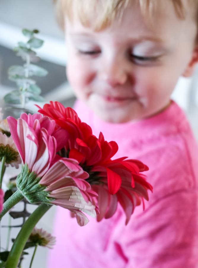 max moments I howsweeteats.com