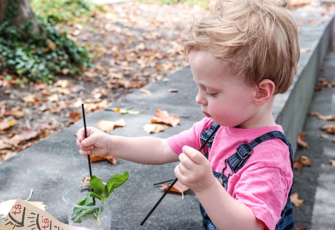 weekend snapshots I howsweeteats.com