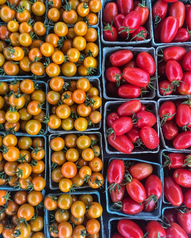 boyne city vacation photos I howsweeteats.com 