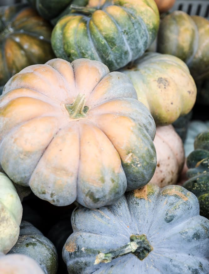 apple picking I howsweeteats.com