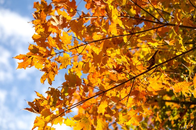 october sundays I howsweeteats.com