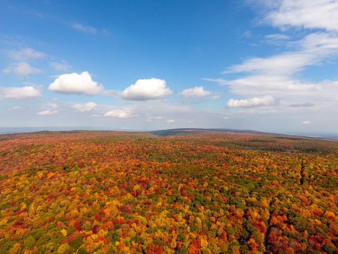 october sundays I howsweeteats.com