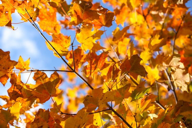 october sundays I howsweeteats.com