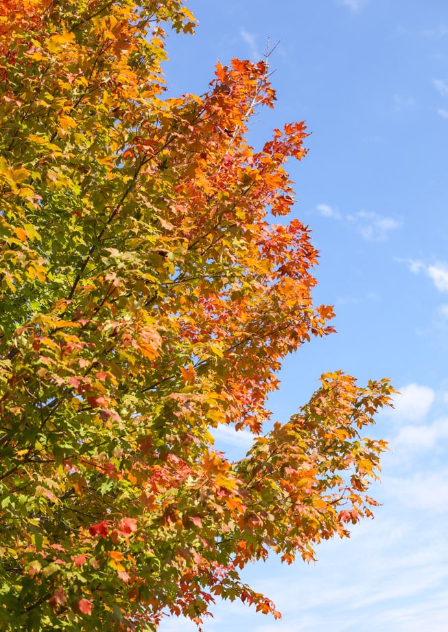 october sundays I howsweeteats.com